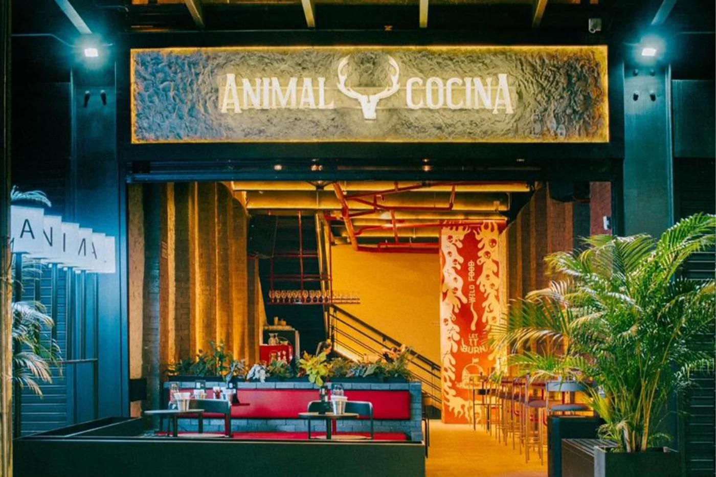 Animal Cocina Principal